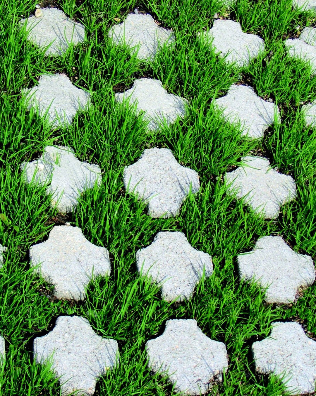 Dalle gazon drainante à Flassans-sur-Issole près de Forcalqueiret